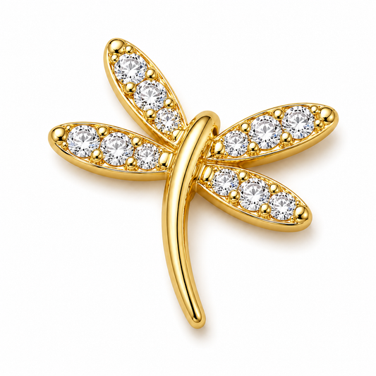 Dragonfly → Freedom
