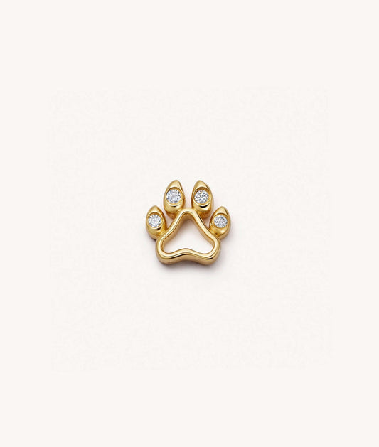 Dog's Paw → Loyal Companion