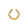 Horseshoe → Guarded Luck