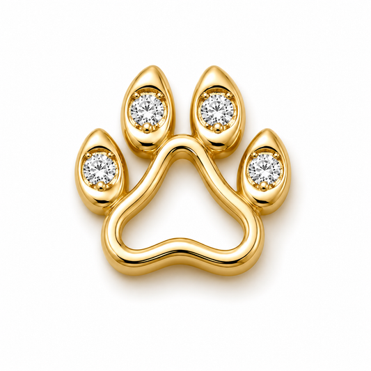 Dog's Paw → Loyal Companion
