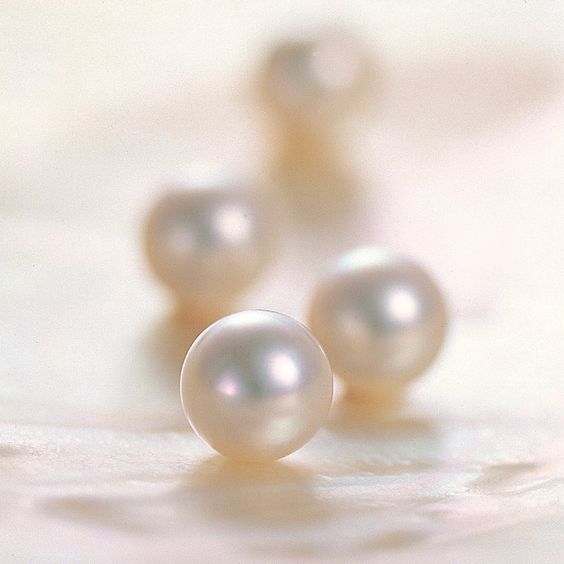Southern Sea Pearl Earrings (925 Silver).