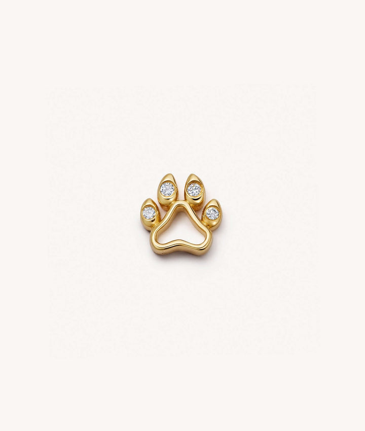 Dog's Paw → Loyal Companion