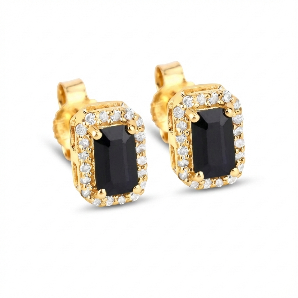 Black Onyx Earrings (Titanium Steel)