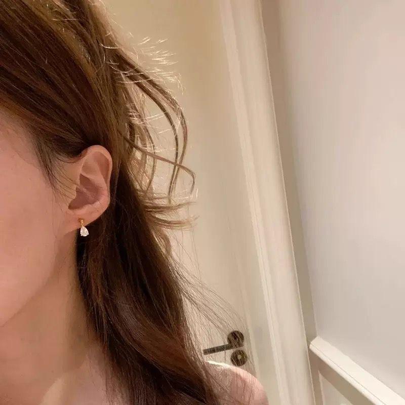 Viva Teardrop Solitaire Earrings (Titanium Steel)