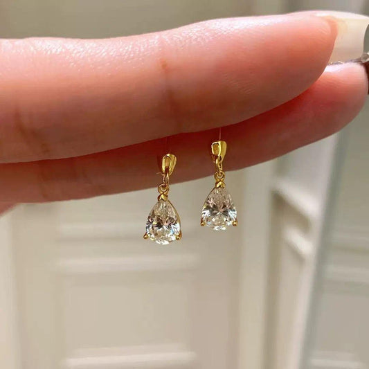 Viva Teardrop Solitaire Earrings (Titanium Steel)