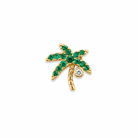Tropical Palm Tree