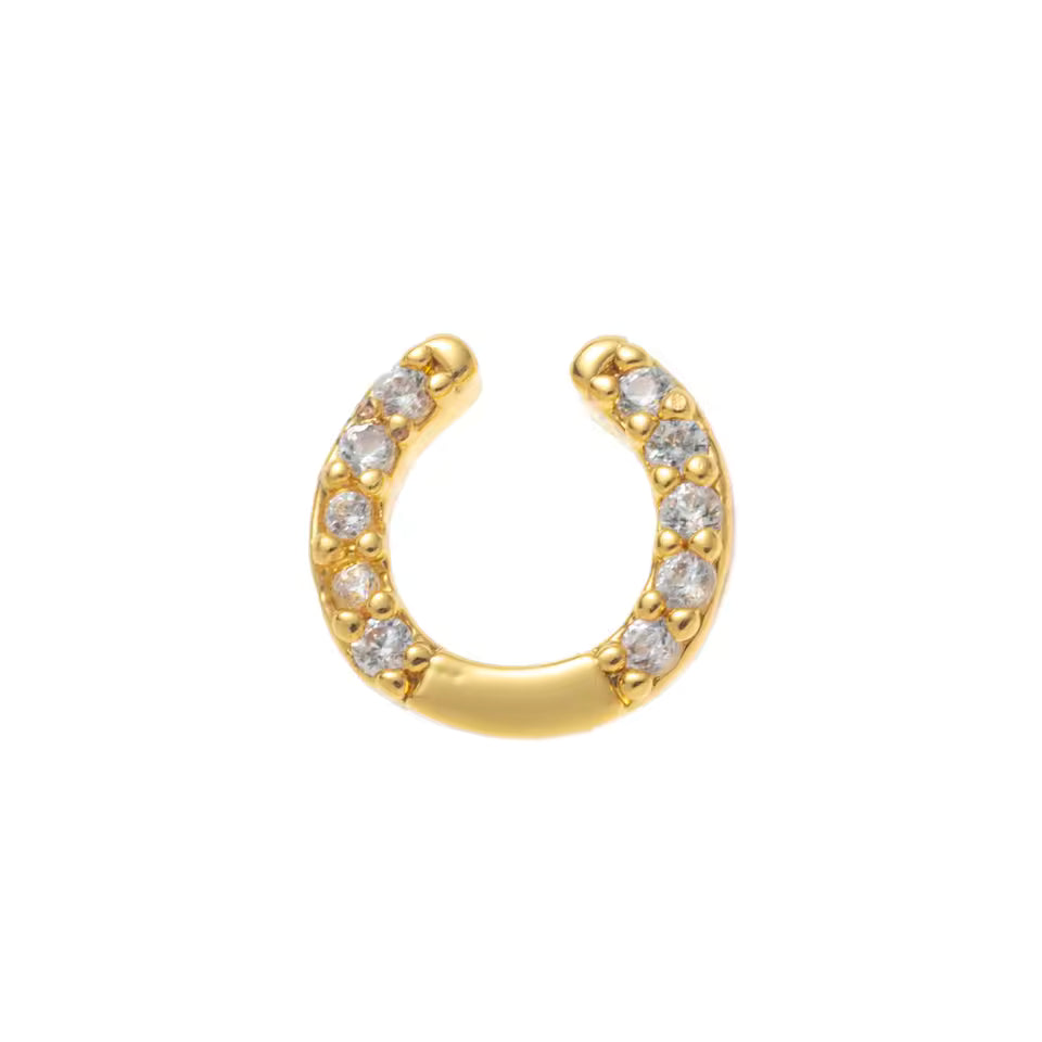 Horseshoe → Guarded Luck